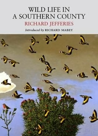 Cover of Wild Life in a Southern County by Richard Jeffries